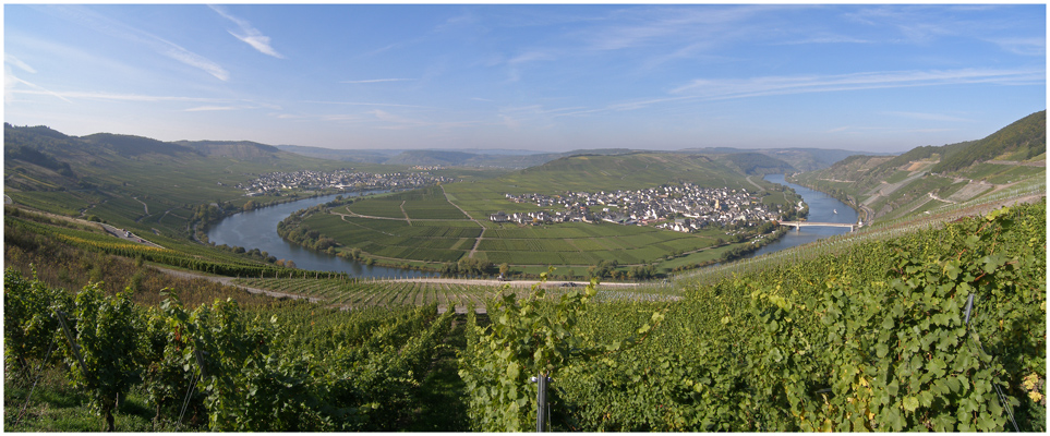 Mosel bei Trittenheim