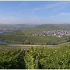 Mosel bei Trittenheim