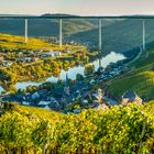 Mosel bei Ürzig (13)