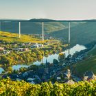 Mosel bei Ürzig (8)