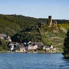 Mosel - Beilstein und Burgruine Metternich