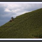 Mosel Bernkastel-Kues Doktorweinberg