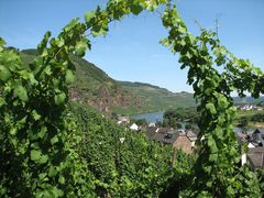 Mosel