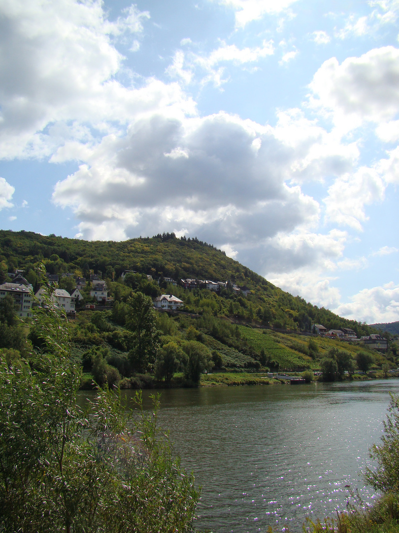 Mosel/ Cochem