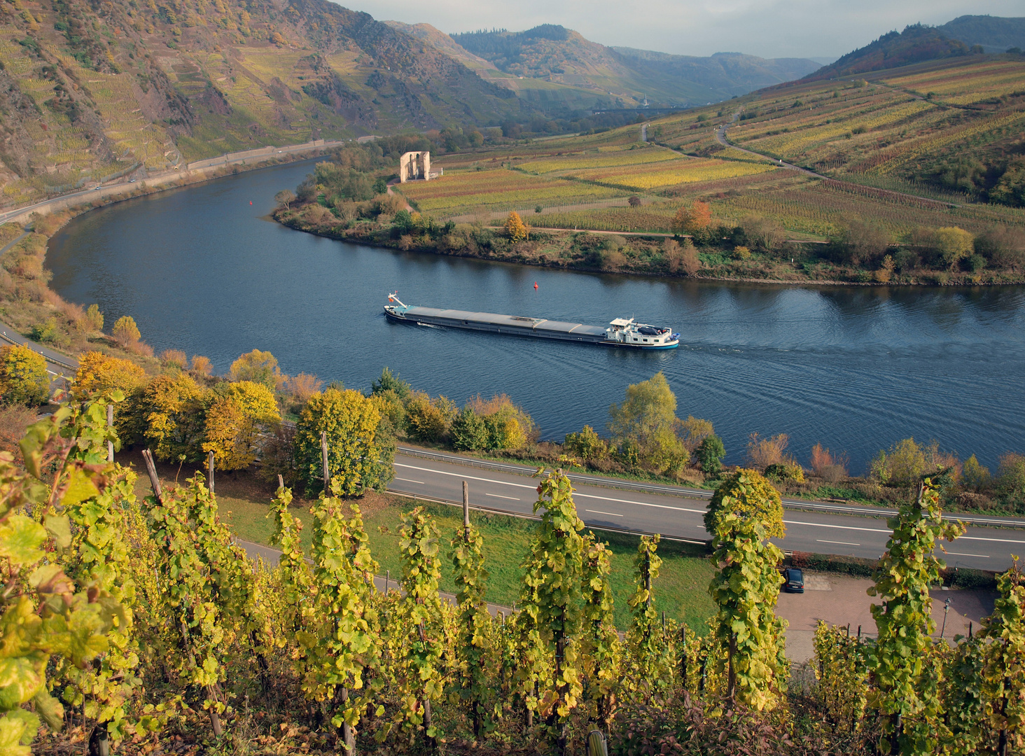 Mosel...