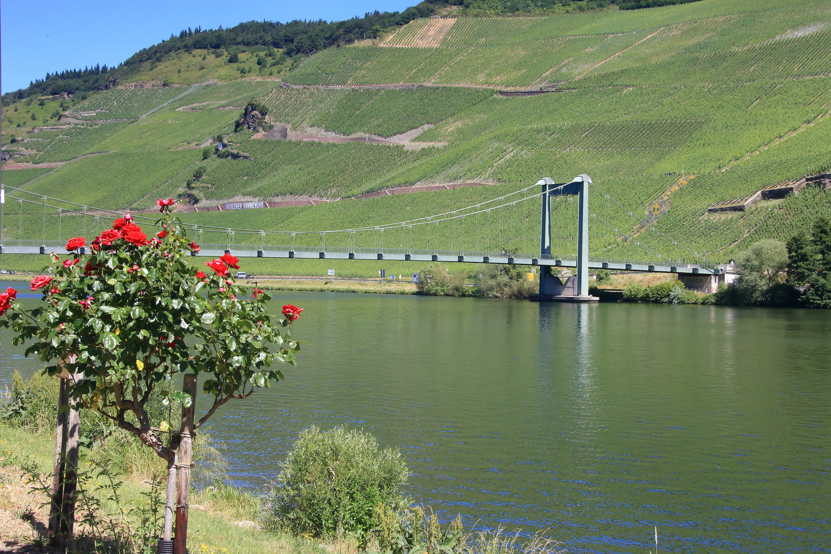 Mosel