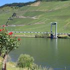 Mosel