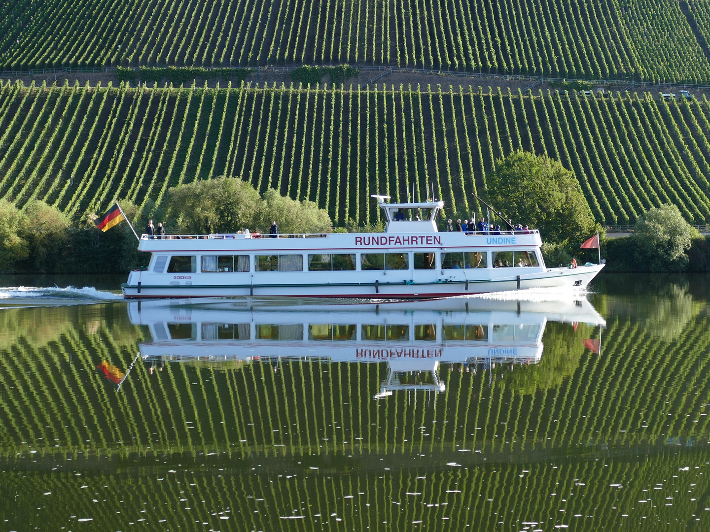 Mosel