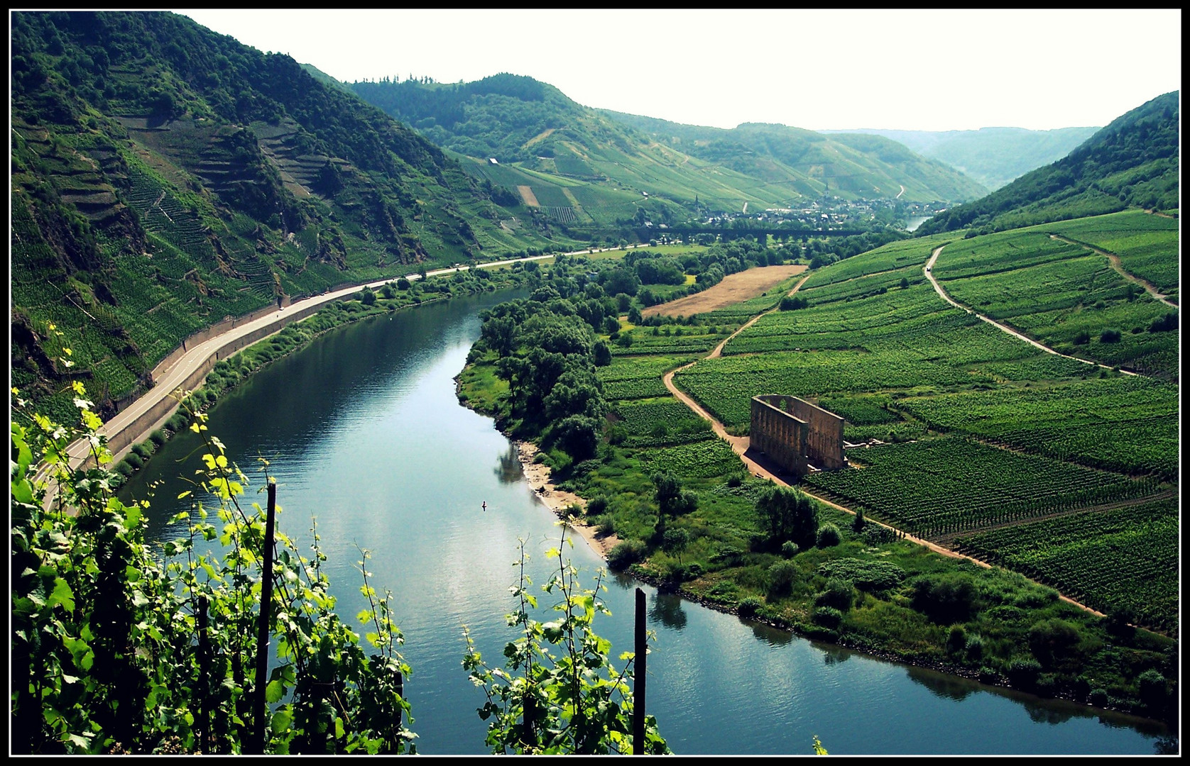 Mosel