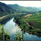 Mosel