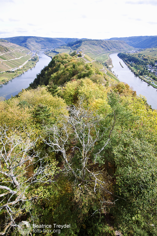 Mosel