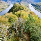 Mosel