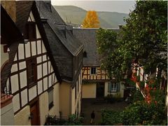 Mosel-Herbst.......