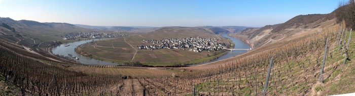 Mosel im Frühling