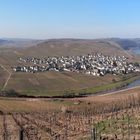 Mosel im Frühling