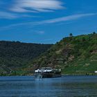 Mosel Impressionen 001