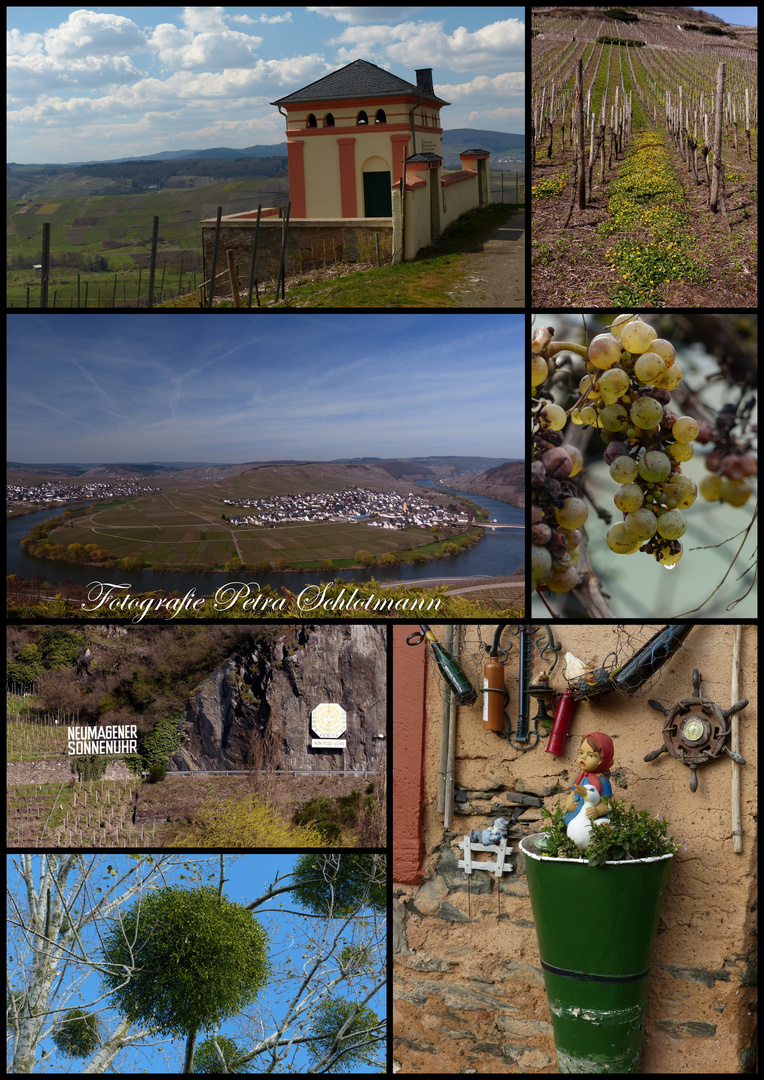 Mosel-Impressionen