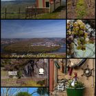 Mosel-Impressionen