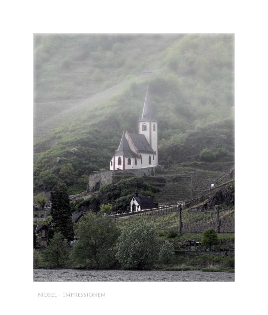 Mosel - Impressionen " am frühen Morgen "