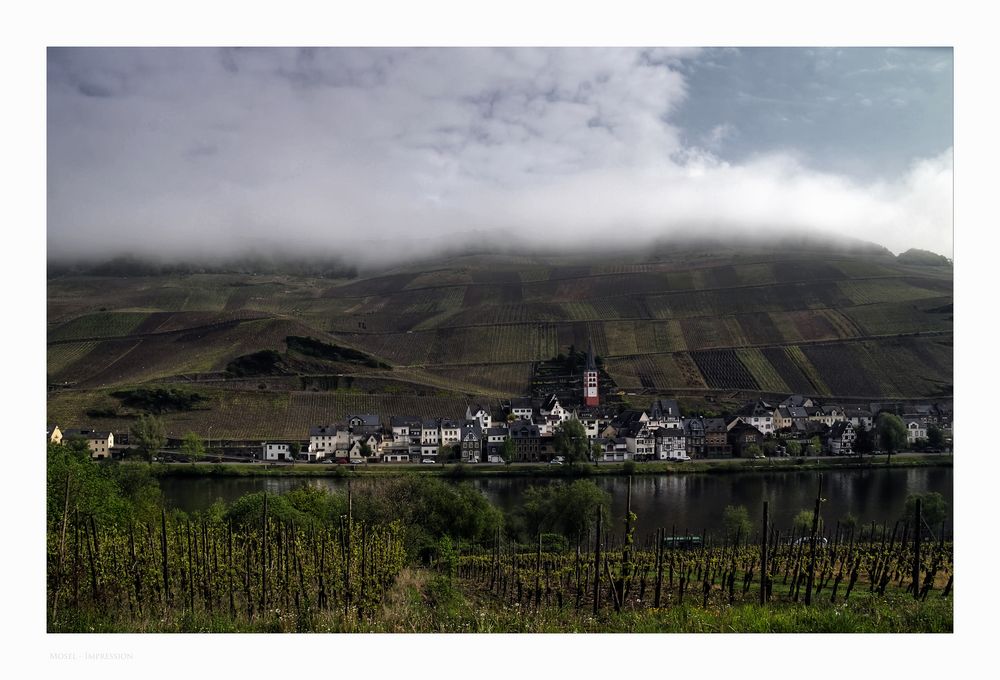 Mosel - Impressionen " Entlang, der Moselstrasse "