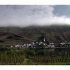 Mosel - Impressionen " Entlang, der Moselstrasse "