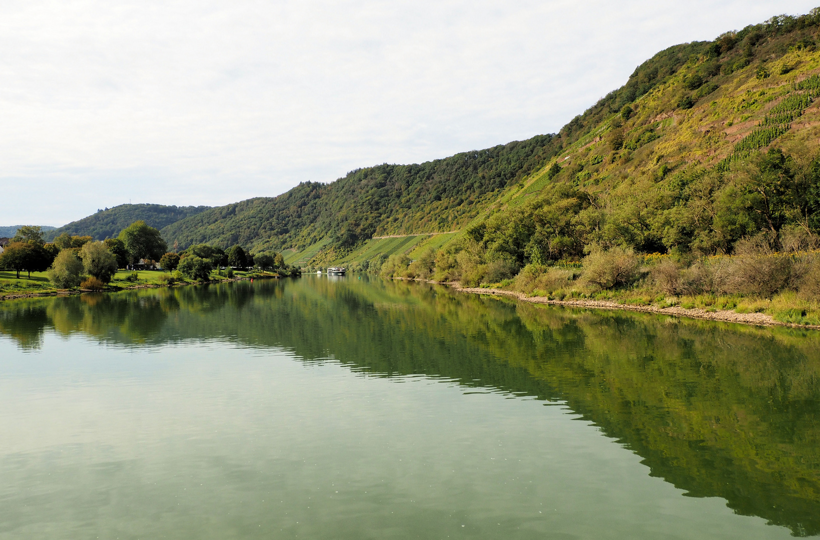 Mosel Impressionen 