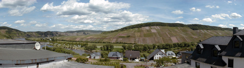 Mosel Landschaft