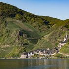 Mosel - Landschaft bei Beilstein