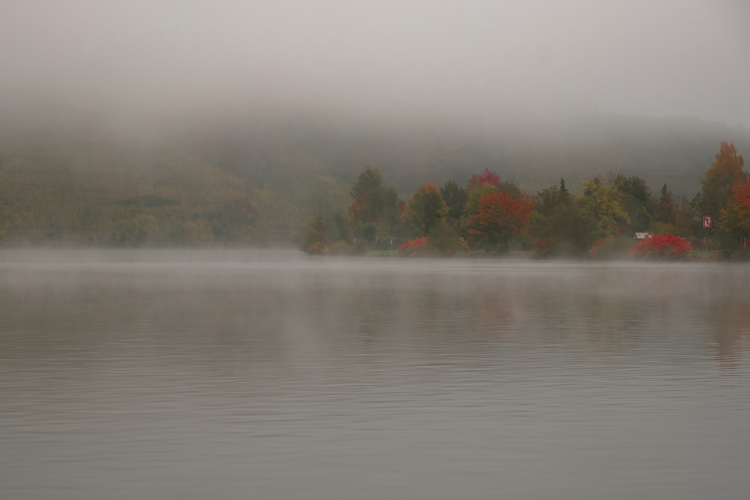 Mosel Nebelfoto Mehring-1