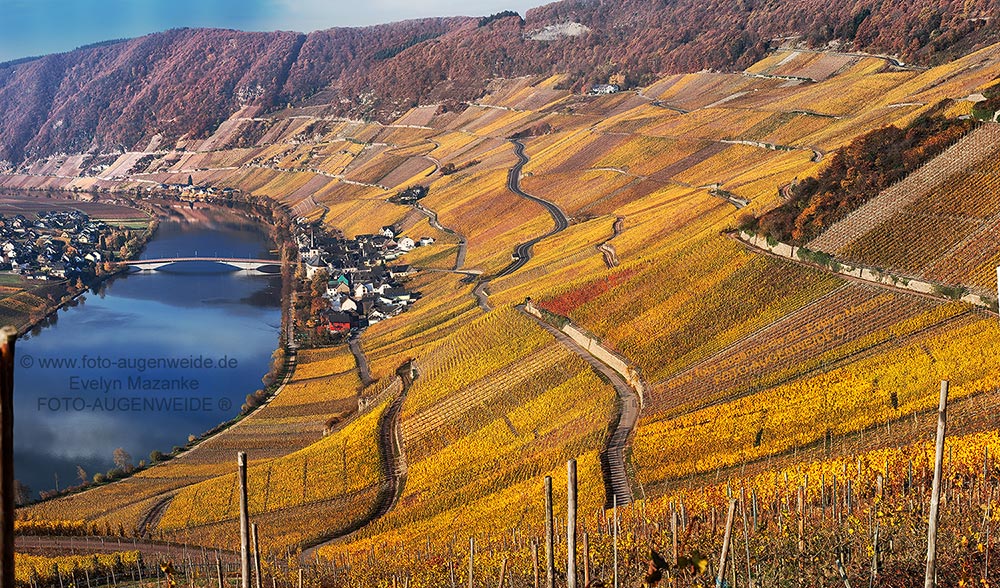 Mosel-Panorama bei Piersport