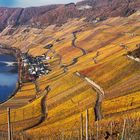 Mosel-Panorama bei Piersport