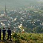 Mosel Rachtig Alphornbläser bei Sonnenaufgang