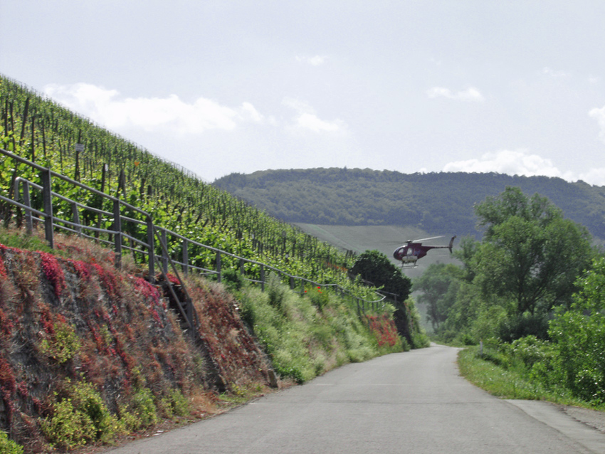 ~ Mosel-Radtour: Präzisionsarbeit ~