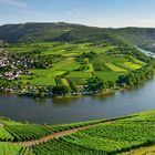 Mosel Schleife bei Kröv