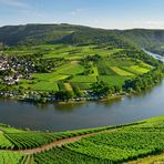 Mosel Schleife bei Kröv