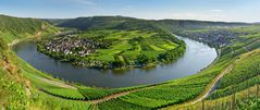 Mosel Schleife bei Kröv