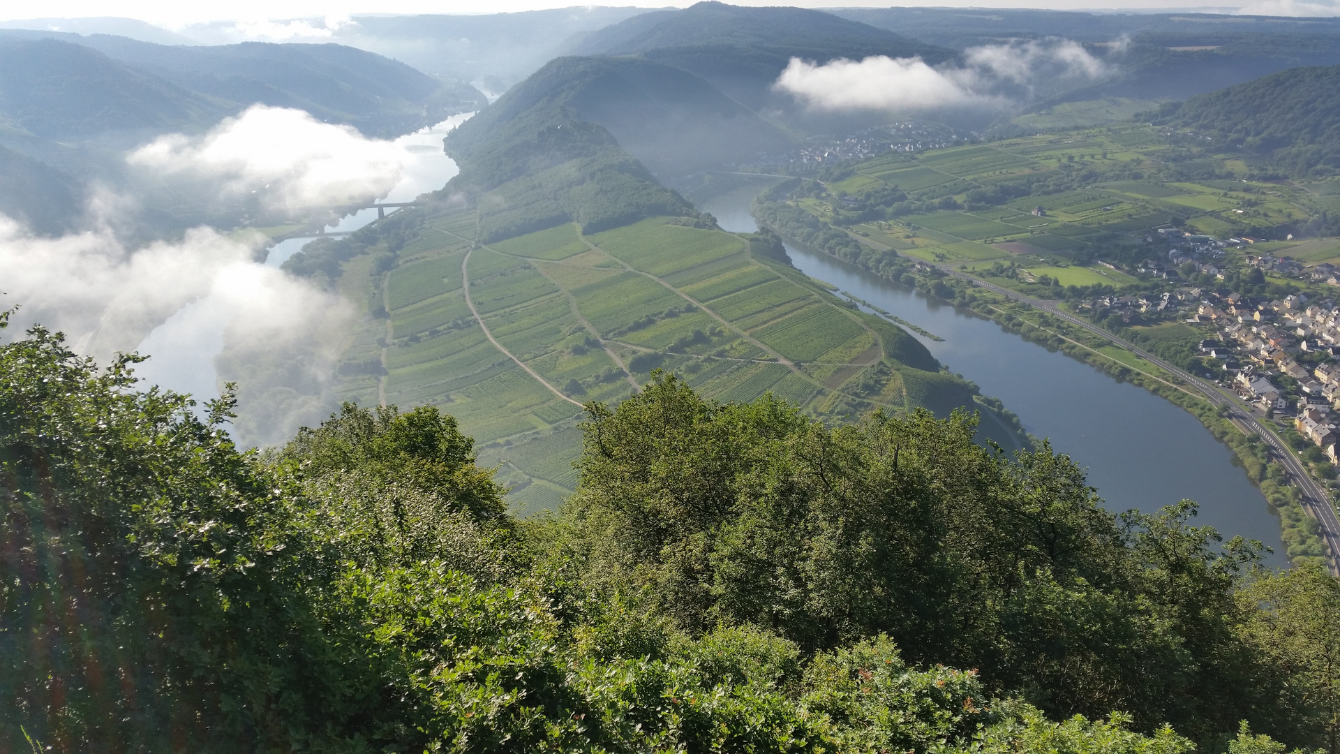 Mosel Schleife