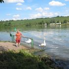 Mosel Schwan