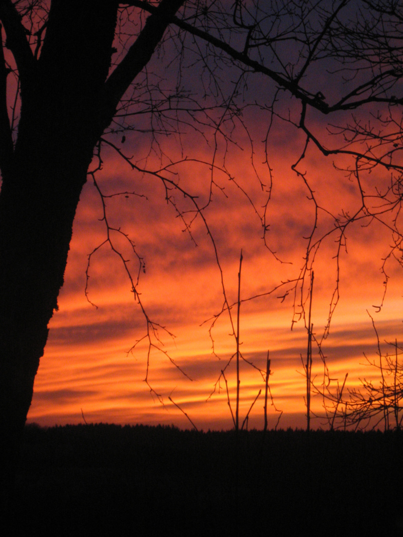 Mosel, Sonnenuntergang