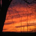 Mosel, Sonnenuntergang