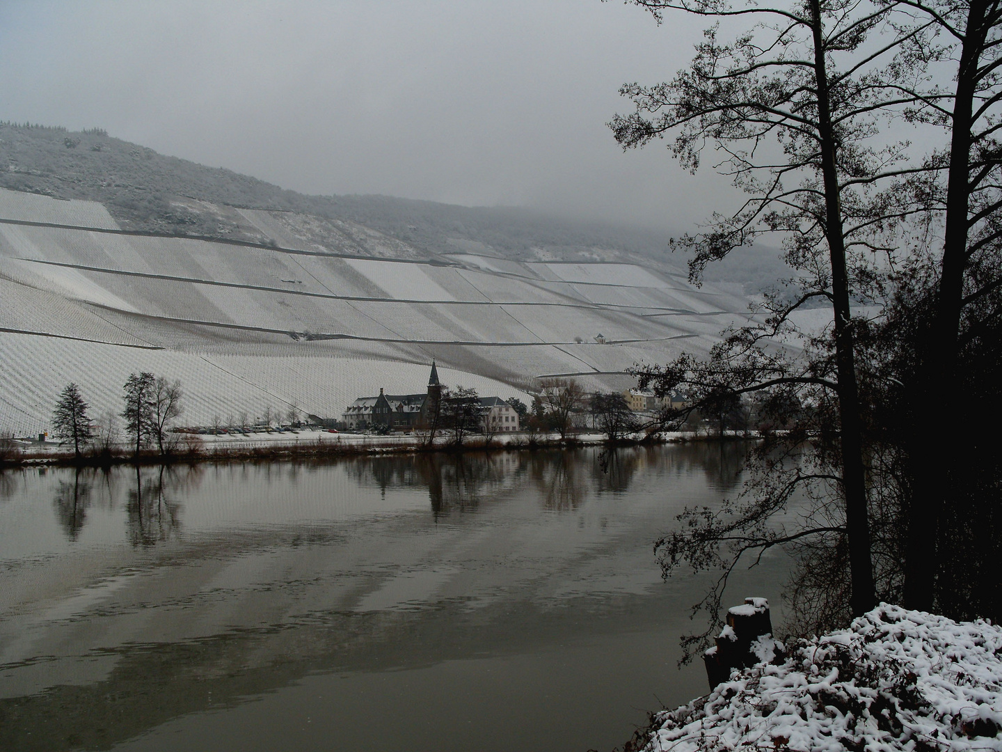 Mosel-Spiegelungen