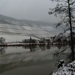 Mosel-Spiegelungen