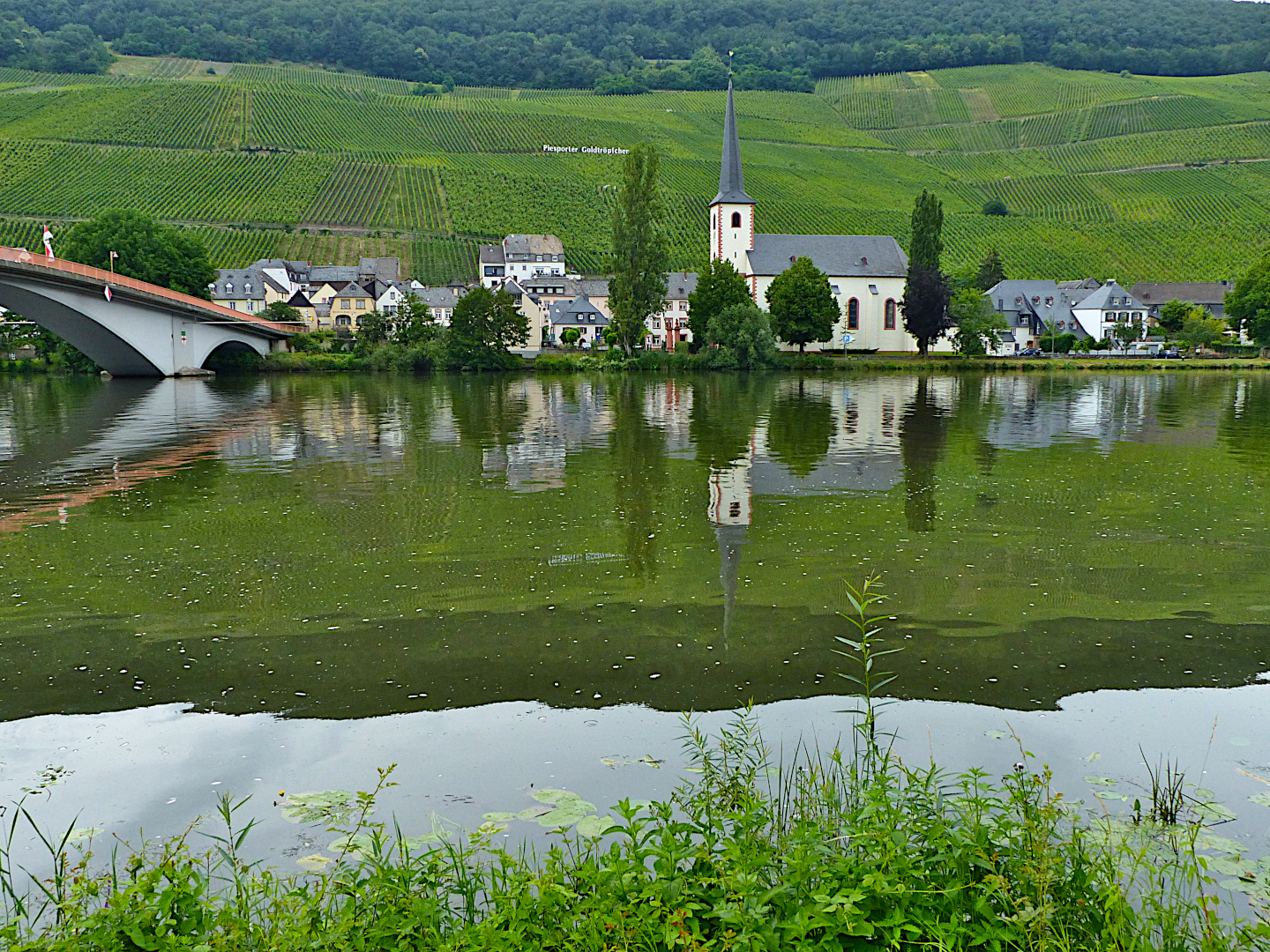 Mosel und Weinberge