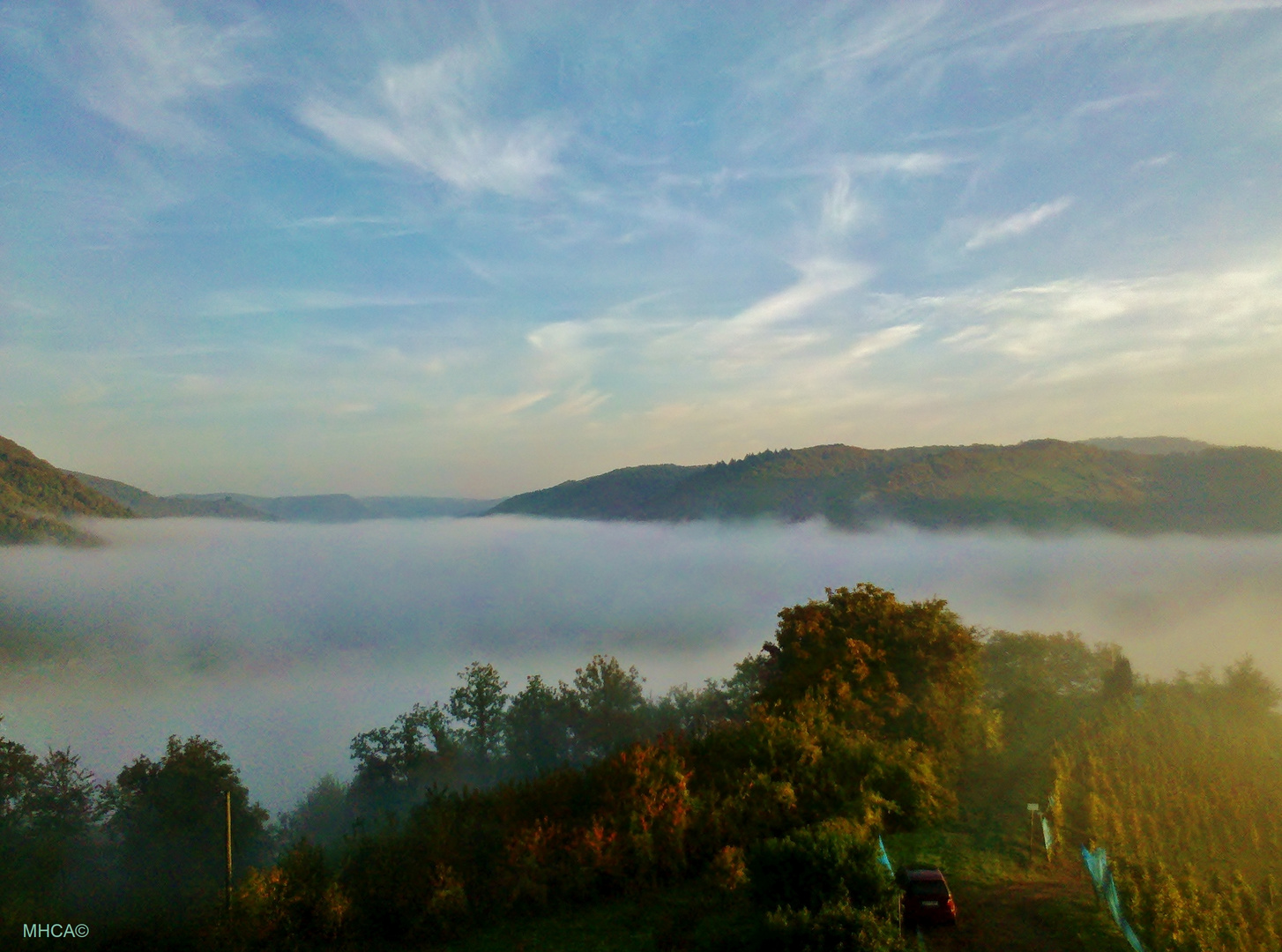 Mosel * Weinberg 2 * Herbst