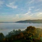 Mosel * Weinberg 2 * Herbst