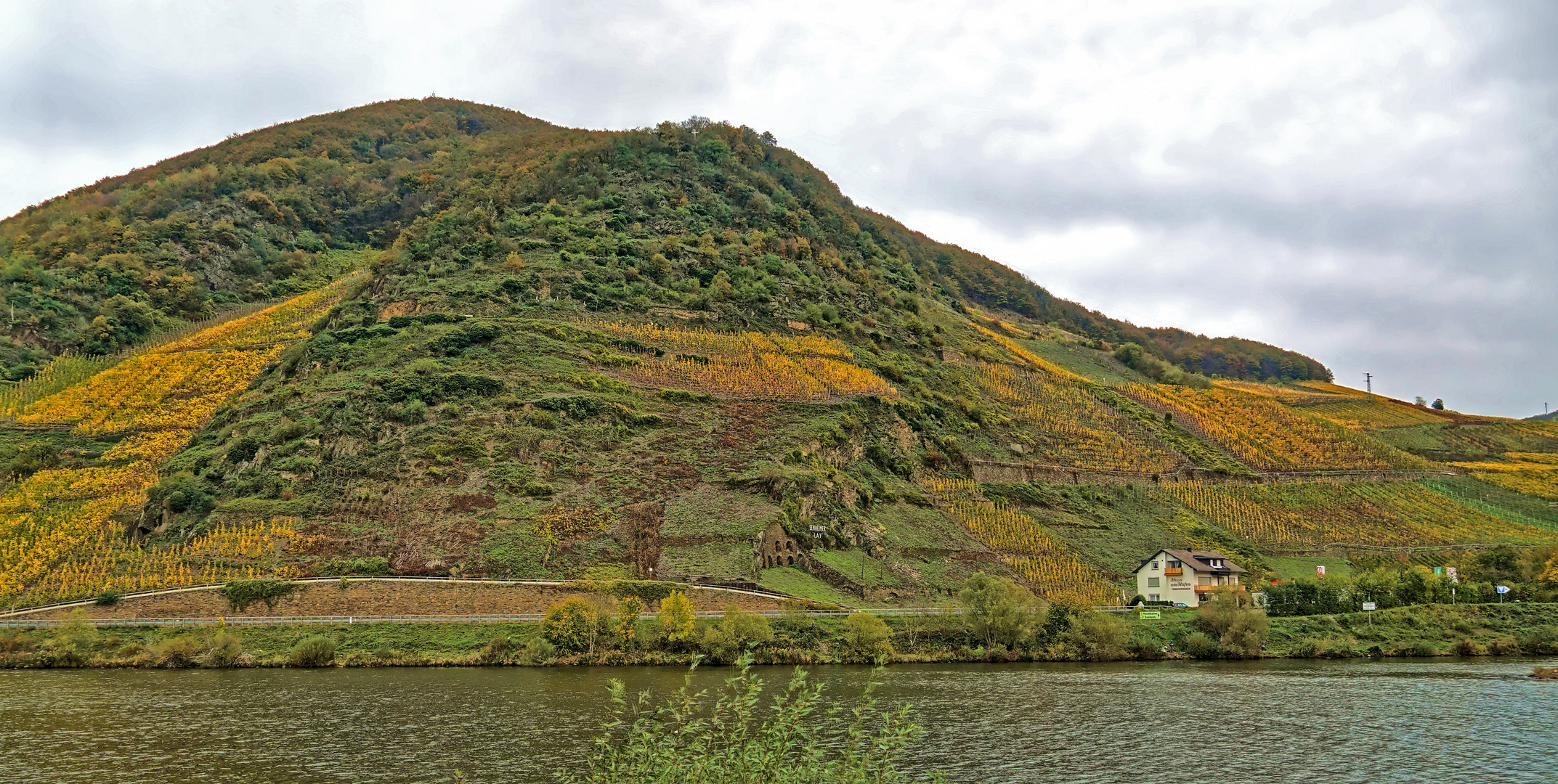 Mosel - Weinberge Foto & Bild | deutschland, europe, rheinland-pfalz