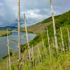 Mosel Weinland