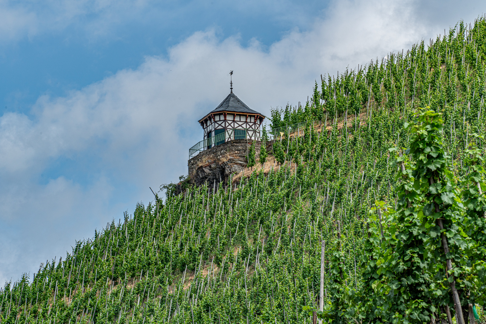 Mosel XI