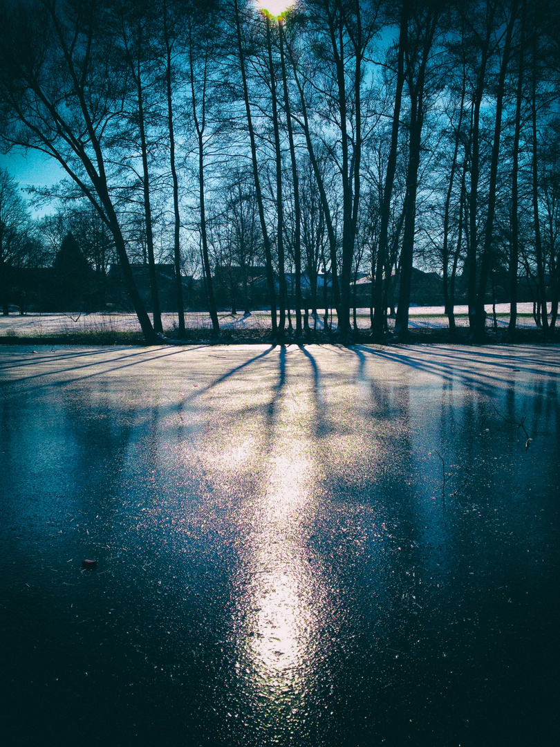 Moselbachpark Teich