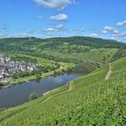 Moselblick auf die Kanonenbahn